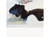 DIFFICULT AIRWAY MANAGEMENT SIMULATOR -TRAINING MODEL- DARK TONE - MW13