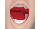 DIFFICULT AIRWAY MANAGEMENT SIMULATOR -TRAINING MODEL- DARK TONE - MW13