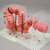 3D-KOLOSKOPIE-TRAININGSSIMULATOR NKS - MW24