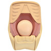 SIMULATEUR D EVALUATION DE L INVOLUTION UTERINE - MW38