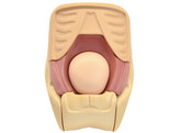 SIMULATEUR D EVALUATION DE L INVOLUTION UTERINE - MW38