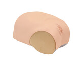 SIMULATEUR D EVALUATION DE L INVOLUTION UTERINE - MW38
