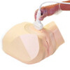 GEBURTSHILFELICHES BECKEN-ULTRASCHALL-PHANTOM  7 WOCHEN  - US-10B