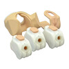 ENSEMBLE COMPLET DE MANNEQUINS POUR ECHOGRAPHIE PELVIQUE FEMININE  10 SEMAINES  - US-10C