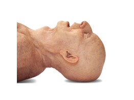 LIFECAST OUDERE  PETE POST-COVID 
