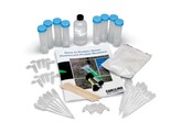 GEN NAAR EIWIT  GROENE FLUORESCERENDE EIWIT KETTING SET