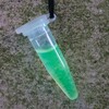 GEN NAAR EIWIT  GROENE FLUORESCERENDE EIWIT KETTING SET