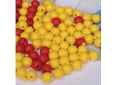 CHROMOSOME SIMULATION KIT