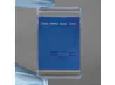 EXPLORING ELECTROPHORESIS USING FORENSIC DNA EVIDENCE KIT