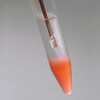 KIT D EXTRACTION D ADN DE FRAISE DNALC