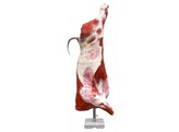 MAQUETTE DE DEMI-CARCASSE DE B UF  TAUREAU   TAILLE NATURELLE