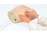 GLUTEAL INTRAMUSCULAR INJECTION MODEL LM-027