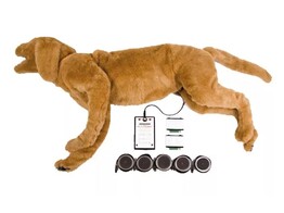 GOLDIE - SIMULATEUR DE RESPIRATION ET DE BRUITS CARDIAQUES POUR CHIENS