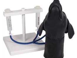 TETE DE PONCTION VEINEUSE JUGULAIRE CANINE