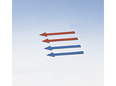 POINTERS F. DEMONST.BOARD  4 PCS  - PHYWE - 02154-01
