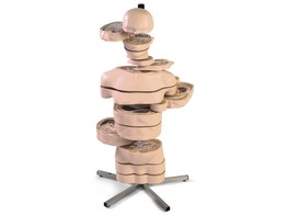 MRI TORSO SCHIJFMODEL IN 15 SCHIJVEN