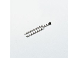 TUNING FORK 440 HZ  - PHYWE - 03424-00