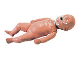 BABY CPR MANIKIN  1005745
