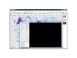 IMAGE FOCUS ANAL. SOFTWARE DC.1311