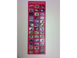 CAT BREEDS OF THE WORLD POSTER PART I  A-M 