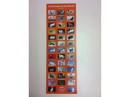 CAT BREEDS OF THE WORLD POSTER PART II  M-Z 