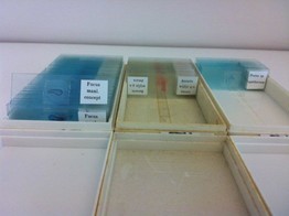 MICROPREPERAAT - ZWAM -  PEZIZA SP APOTHERCUM