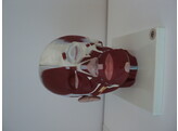 HOOFD MET SPIEREN