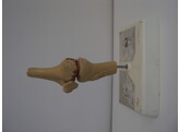 MODEL VAN KNIE