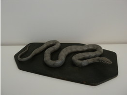 SLANG VAN RUBBER  DICE SNAKE  