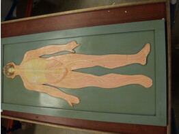 MODEL ZENUSTELSEL OP HOUTEN PLANK