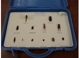 SET VAN 12 INSECTON IN KOFFER