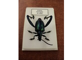 INSECT ONDER PLEXI