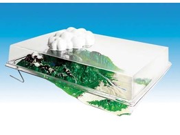 WATER CYCLE MODEL ONLY