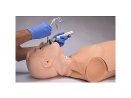 HAL  S315.100 ADULT MULTIPURPOSE AIRWAY TRAINER AND CPR TRAINER