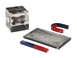 DEMONSTRATEUR DU CHAMP MAGNETIQUE- 3396.10