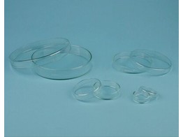 Petrischalen glas